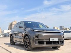 Li Auto L8 Pro - ფოტო 3