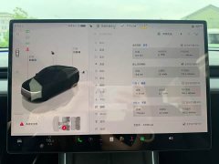 Tesla Model Y Rear-Wheel Drive - ფოტო 16