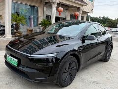 Tesla Model Y Rear-Wheel Drive - ფოტო 2