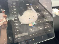 Tesla Model 3 2023 Rear-Wheel Drive - ფოტო 11