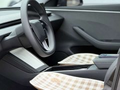 Tesla Model 3 2023 Rear-Wheel Drive - ფოტო 7