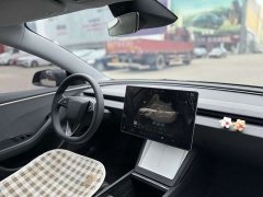 Tesla Model 3 2023 Rear-Wheel Drive - ფოტო 9