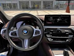 BMW 5 Series 530Li Luxury Edition Premium Package - ფოტო 11