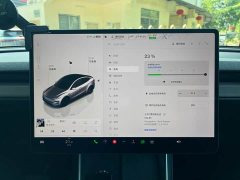 Tesla Model Y Rear-Wheel Drive - ფოტო 19
