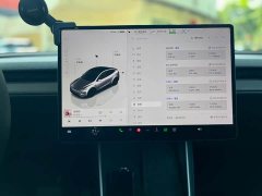 Tesla Model Y Rear-Wheel Drive - ფოტო 20