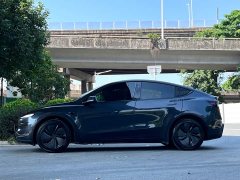 Tesla Model Y Rear-Wheel Drive - ფოტო 3