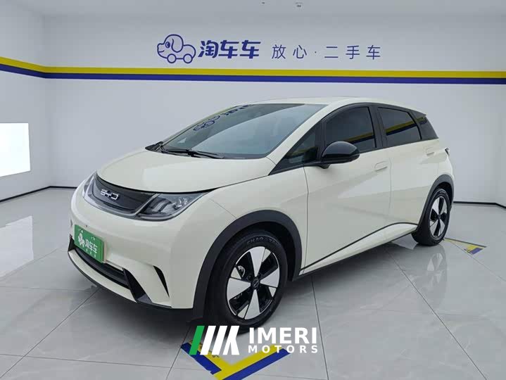 BYD Dolphin 420km Freedom Edition - ავტომობილი ჩინეთიდან