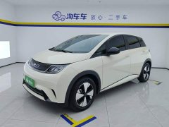 BYD Dolphin 420km Freedom Edition - ფოტო 1