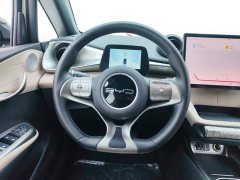 BYD Dolphin 420km Freedom Edition - ფოტო 15