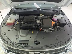 BYD Destroyer 05 2023 Champion Edition DM-i 55KM Luxury - ფოტო 10