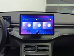 BYD Destroyer 05 2023 Champion Edition DM-i 55KM Luxury - ფოტო 13