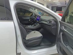 BYD Destroyer 05 2023 Champion Edition DM-i 55KM Luxury - ფოტო 8