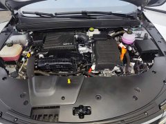 BYD Destroyer 05 Glory Edition DM-i 55KM Luxury - ფოტო 10