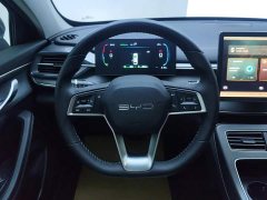 BYD Destroyer 05 Glory Edition DM-i 55KM Luxury - ფოტო 15