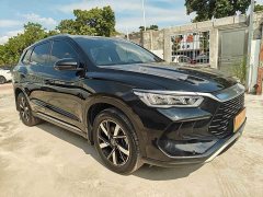 BYD Song Pro New Energy DM-i 71KM Glory Edition Pilot - ფოტო 3
