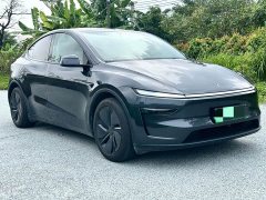 Tesla Model Y Rear-Wheel Drive - ფოტო 3