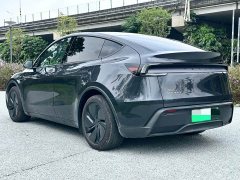 Tesla Model Y Rear-Wheel Drive - ფოტო 6