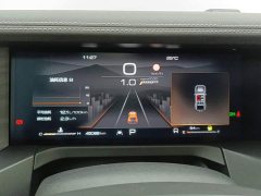 Tank 300 2.0T Challenger - ფოტო 14