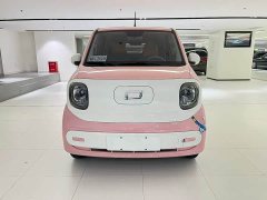 FAW Besturn Xiaoma 170km Vitality Edition - photo 2
