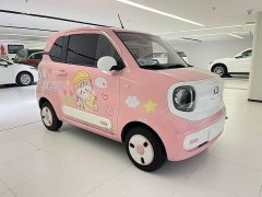 FAW Besturn Xiaoma 170km Vitality Edition - photo 3