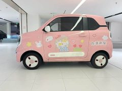 FAW Besturn Xiaoma 170km Vitality Edition - photo 8
