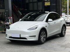 Tesla Model Y Long Range All-Wheel Drive - ფოტო 1