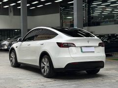 Tesla Model Y Long Range All-Wheel Drive - ფოტო 13