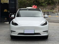 Tesla Model Y Long Range All-Wheel Drive - ფოტო 2