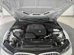 BMW 3 Series 320Li M Sport Package - ფოტო 20