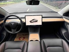 Tesla Model 3 Rear-Wheel Drive - ფოტო 13