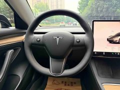 Tesla Model 3 Rear-Wheel Drive - ფოტო 14