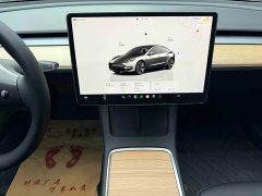Tesla Model 3 Rear-Wheel Drive - ფოტო 16
