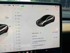 Tesla Model 3 Rear-Wheel Drive - ფოტო 18