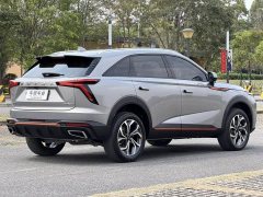 Haval Divine Beast 1.5T Smart Enjoy Edition - ფოტო 8