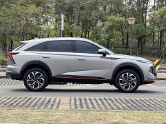 Haval Divine Beast 1.5T Smart Enjoy Edition - ფოტო 9