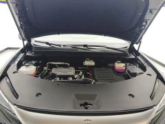 BYD Song Pro New Energy 2nd Gen DM-i 75KM Excellence Edition - ფოტო 10