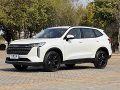 Haval H6 2024 2.0T AWD Max - ფოტო 1