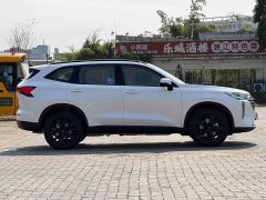 Haval H6 2024 2.0T AWD Max - ფოტო 10