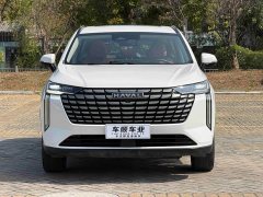 Haval H6 2024 2.0T AWD Max - ფოტო 2