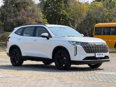 Haval H6 2024 2.0T AWD Max - ფოტო 3