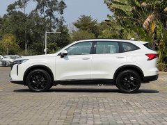 Haval H6 2024 2.0T AWD Max - ფოტო 5