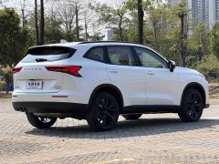 Haval H6 2024 2.0T AWD Max - ფოტო 6