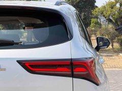 Haval H6 2024 2.0T AWD Max - ფოტო 9