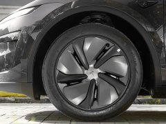 Tesla Model Y Rear-Wheel Drive - ფოტო 18