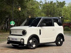 Geely Panda 210km Panda Kart - ფოტო 1