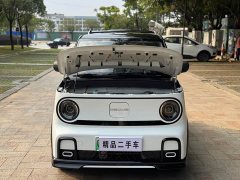 Geely Panda 210km Panda Kart - ფოტო 17