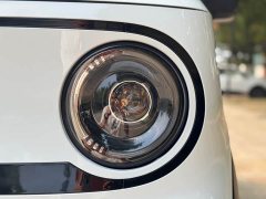 Geely Panda 210km Panda Kart - ფოტო 18