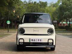 Geely Panda 210km Panda Kart - ფოტო 2
