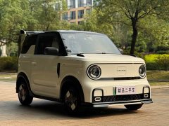 Geely Panda 210km Panda Kart - ფოტო 3