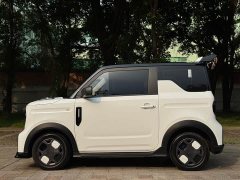 Geely Panda 210km Panda Kart - ფოტო 5